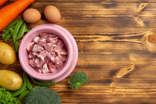 Vigilancia de salmonela en alimentos crudos para mascotas y perros en Gran Bretaña, 2013–2022