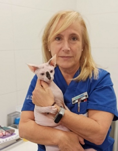 Susana García Pérez de Ayala: «Crear hogares enriquecidos y previsibles es clave para prevenir la ansiedad en los gatos»