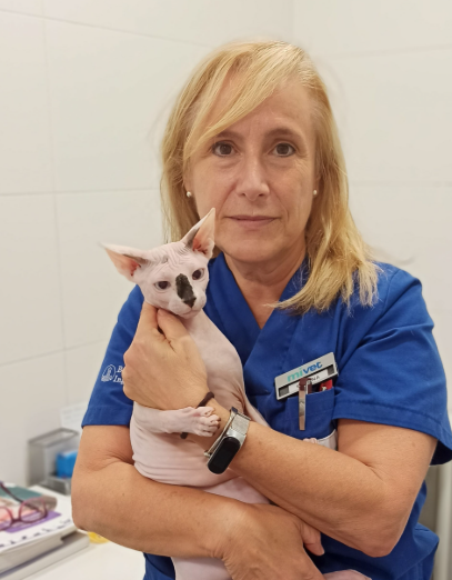 Susana García Pérez de Ayala: «Crear hogares enriquecidos y previsibles es clave para prevenir la ansiedad en los gatos»