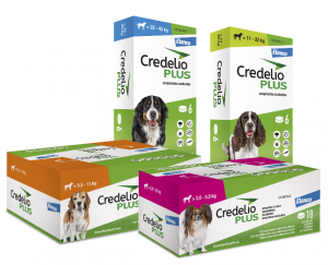 La Comisión Europea aprueba para Elanco las nuevas indicaciones de CredelioTM y CredelioTM Plus frente a sarna sarcóptica y Babesia en perros
