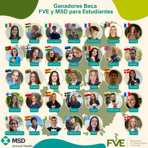 MSD Animal Health y FVE otorgan becas a 34 estudiantes de veterinaria de toda Europa