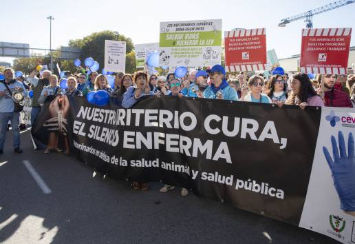 ¡Veterinarios de España, es hora de unirse en defensa de nuestra profesión!