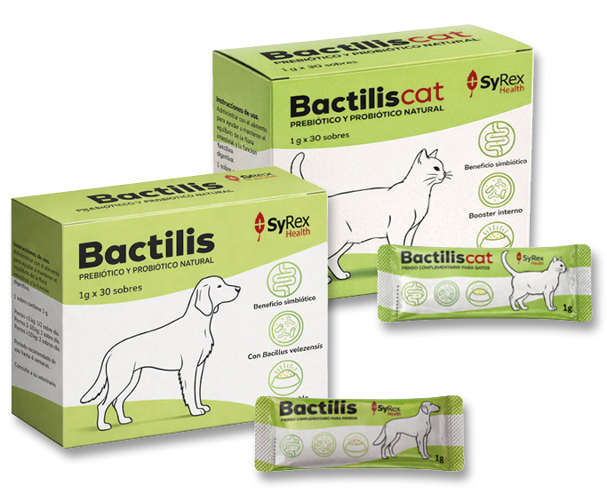 SyRex Health lanza Bactilis®: la revolución probiótica para la Salud de Perros y Gatos