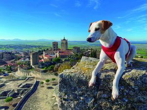 La guía 'Extremadura con perro' recoge recursos turísticos de la región para familias con animales de compañía