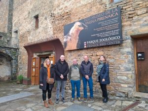 Red Eléctrica apoya a un programa para mejorar la reproducción del quebrantahuesos en el Pirineo aragonés