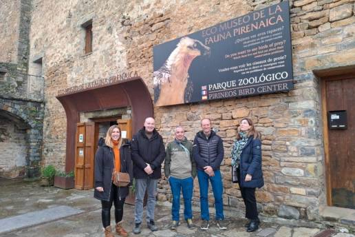 Red Eléctrica apoya a un programa para mejorar la reproducción del quebrantahuesos en el Pirineo aragonés