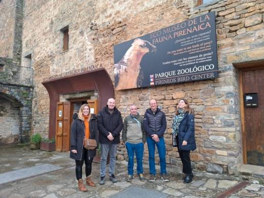 Red Eléctrica apoya a un programa para mejorar la reproducción del quebrantahuesos en el Pirineo aragonés