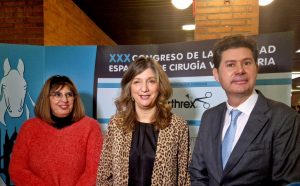 La cirugía veterinaria en España está "a un nivel máximo" y el tratamiento oncológico es uno de los principales retos