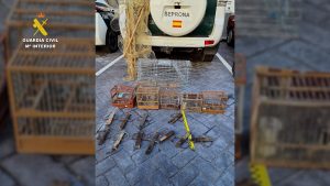  Investigada una persona por capturar jilgueros de forma ilegal en Talavera