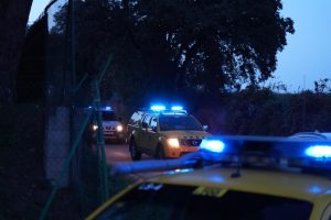 Detectan 13 nuevos casos de peste porcina, 2 de ellos fuera del radio inicial de Collserola (Barcelona)