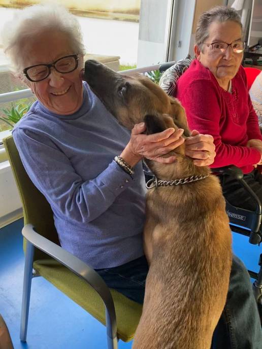 El Centro de Día recibe a la perra de rescate Kenia para una actividad de terapia asistida con animales
