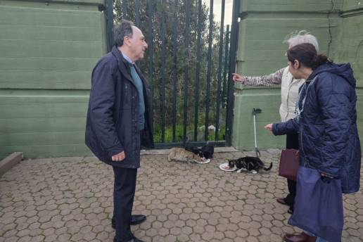 Ayuntamiento pone en marcha el servicio clínico veterinario de esterilización para gestión de colonias felinas