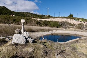 Aragón ultima los preparativos para la suelta del lince ibérico, especie en peligro de extinción