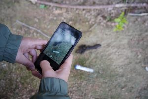 El programa de ADN canino en Santa Eulària sanciona a 22 propietarios por no estar inscritos en el registro obligatorio