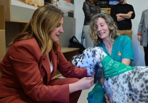 Inaugurada la campaña de bienestar animal en Fallas