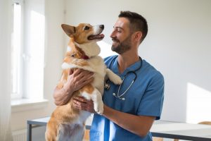 La profesión veterinaria respalda un modelo de especialización basado en rigor científico y profesional alineado con Europa