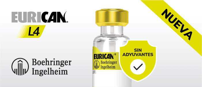 Boehringer, EuricanL4