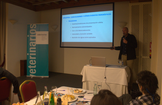 La epilepsia y otros eventos neurológicos en pequeños animales, a debate en los “Jueves de Veterinaria”