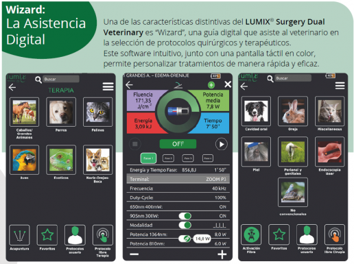 LUMIX® Surgery Dual Veterinary La revolución del láser en Medicina Veterinaria