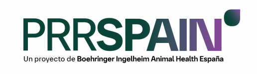 PRRSPAIN, la plataforma de Boehringer Ingelheim para medir el impacto real de PRRS en la granja