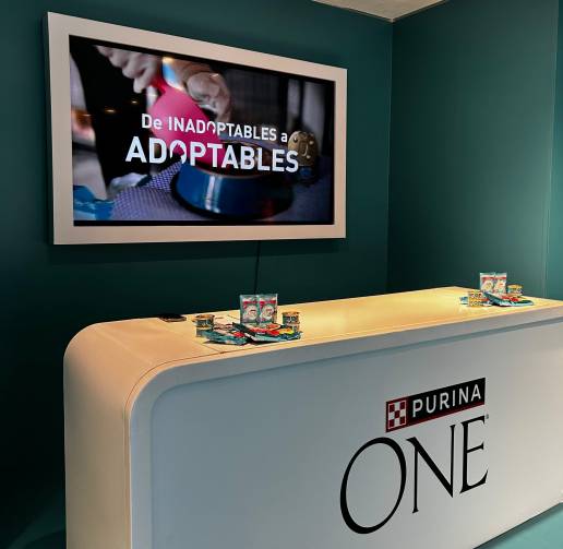 Purina abre un espacio inmersivo en Madrid para concienciar sobre cómo un sesgo humano puede influir en la adopción de gatos