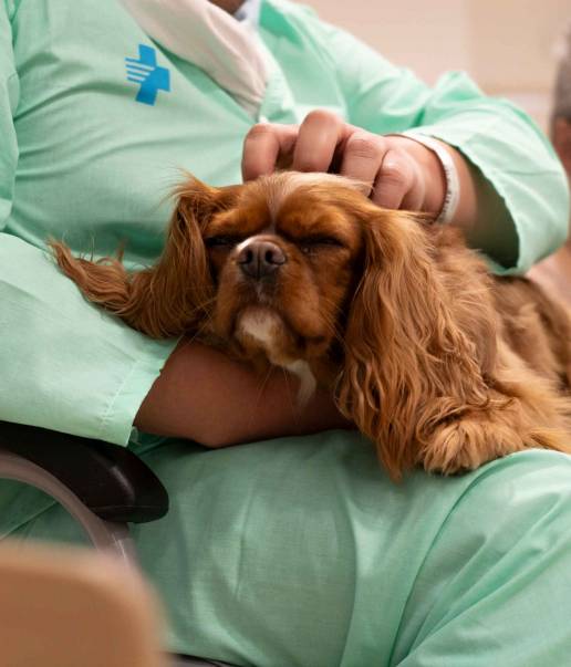 Purina y CTAC se unen al Hospital de Bellvitge para incorporar las terapias asistidas con animales en el área de salud mental