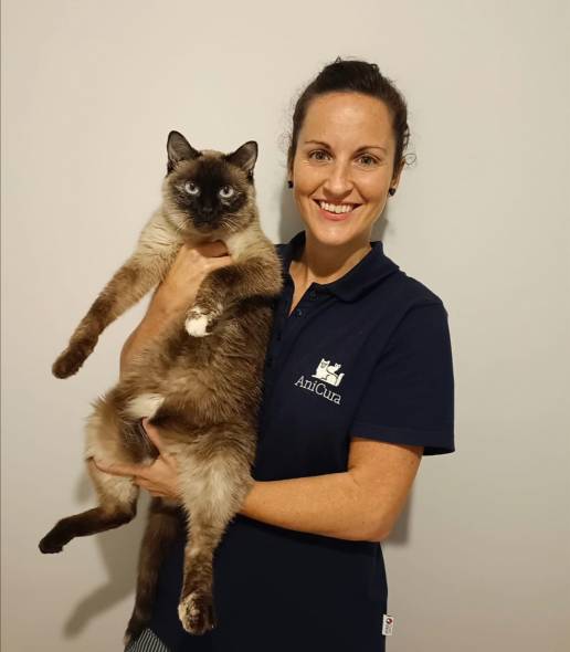 Esterilización: clave para un comportamiento equilibrado y el bienestar de tu mascota.