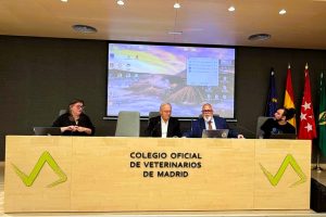 CEVE celebra la Asamblea anual apostando por la unión “en una etapa clave para el sector”