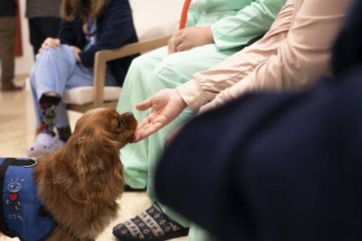 El Hospital de Bellvitge incorpora la terapia asistida con perros para tratar la salud mental