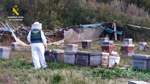Detenido por robar 112 colmenas de abejas en La Canal de Navarrés con un valor de 10.000 euros