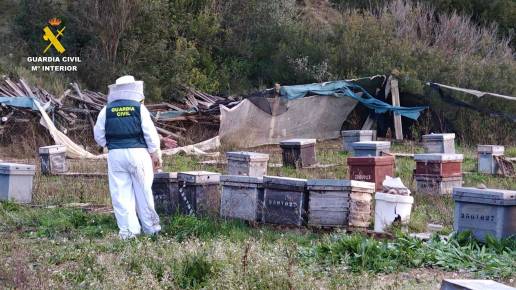 Detenido por robar 112 colmenas de abejas en La Canal de Navarrés con un valor de 10.000 euros