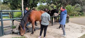 Alumnado del Máster en Intervención Asistida con Animales de UNIA y UJA conocen las terapias ecuestres