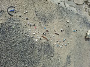 Un estudio liderado desde la UCA aporta evidencia sobre el riesgo químico de los pélets de plástico en el mar