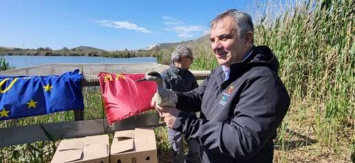 Murcia alcanza el centenar de cercetas pardillas liberadas dentro del proyecto LIFE de recuperación de la especie