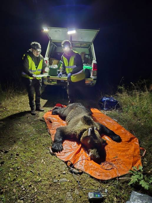 CyL impulsa un estudio 