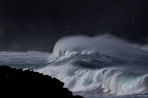 Los temporales causaron que más de 3.500 ejemplares de aves se protegiesen en las costas gallegas