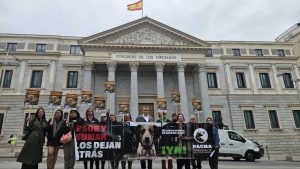 PACMA exige la inclusión urgente de perros de caza en la Ley de Bienestar Animal con una concentración ante el Congreso