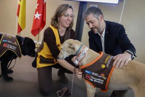 Más de 150 menores madrileños contaron con perros de apoyo en las sedes judiciales de la región en 2025, un 5,4% más