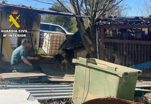  Un investigado por maltrato animal en Lillo del Bierzo (León) con 18 perros de caza condiciones deficientes