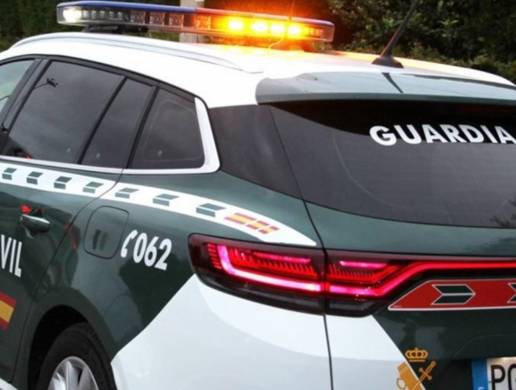 Identifican a dos personas como los dueños de los perros que atacaron a una septuagenaria en Tomiño