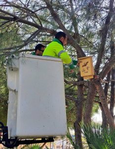 El Ayuntamiento de Estepona instala cajas nido para pequeñas aves rapaces y murciélagos en dos parques públicos