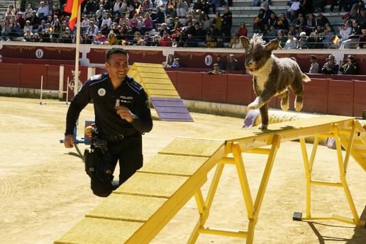 La Plaza de Toros, escenario de una exhibición de Unidades caninas de Cuerpos policiales y militares de España