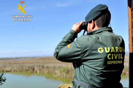 Localizadas 30 ovejas muertas en una explotación de San Roque e investigado su responsable por maltrato