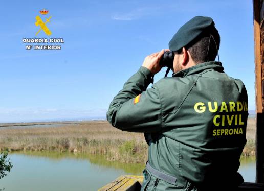 Localizadas 30 ovejas muertas en una explotación de San Roque e investigado su responsable por maltrato