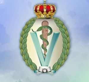 Convocatoria Premios RACVE 2026