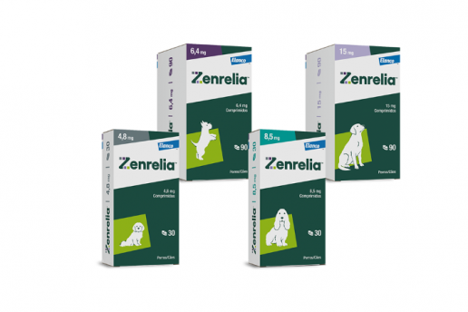 Elanco ha presentado Zenrelia®, el nuevo inhibidor de JAK para el tratamiento del prurito alérgico y de la dermatitis atópica.
