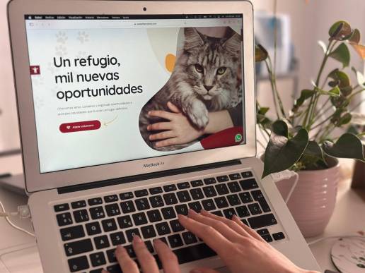 En marcha en Lanzarote una web para facilitar la adopción responsable y acceder a información sobre mascotas perdidas