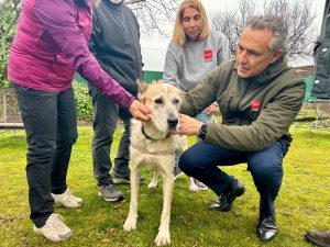 El Centro Integral de Acogida de Animales de la Comunidad contará con casi 50 nuevas plazas antes de verano