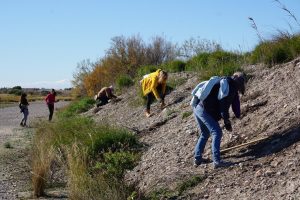 Colocan varios refugios para murciélagos en la Marjal dels Moros con el fin de mejorar sus hábitats