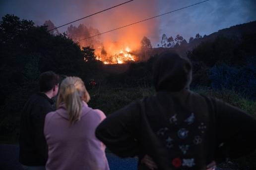 Medio Rural entrega alimentos para un centenar de vacas de una granja en Pazos de Borbén afectada por el fuego